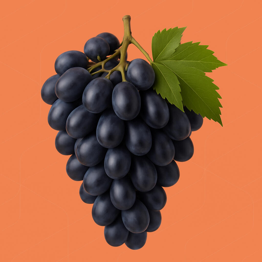 Dried prunes from Moldova in bulk – supplier for EU importers